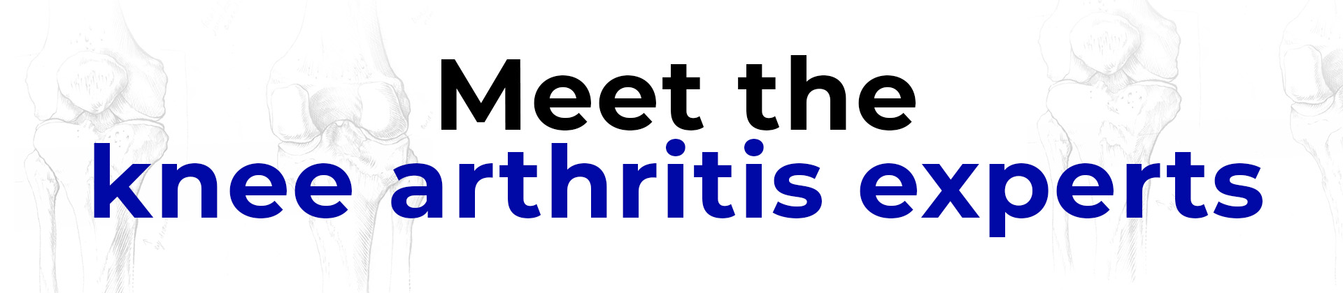 meet the experts banner
