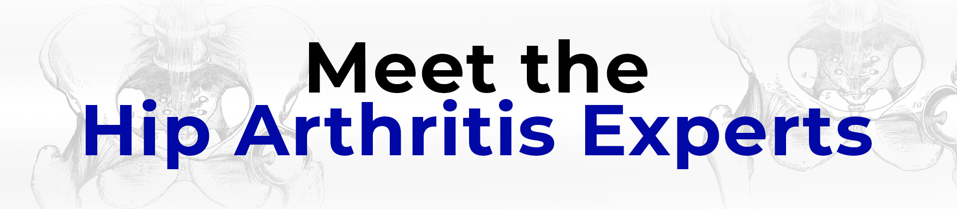 Meet the hip experts